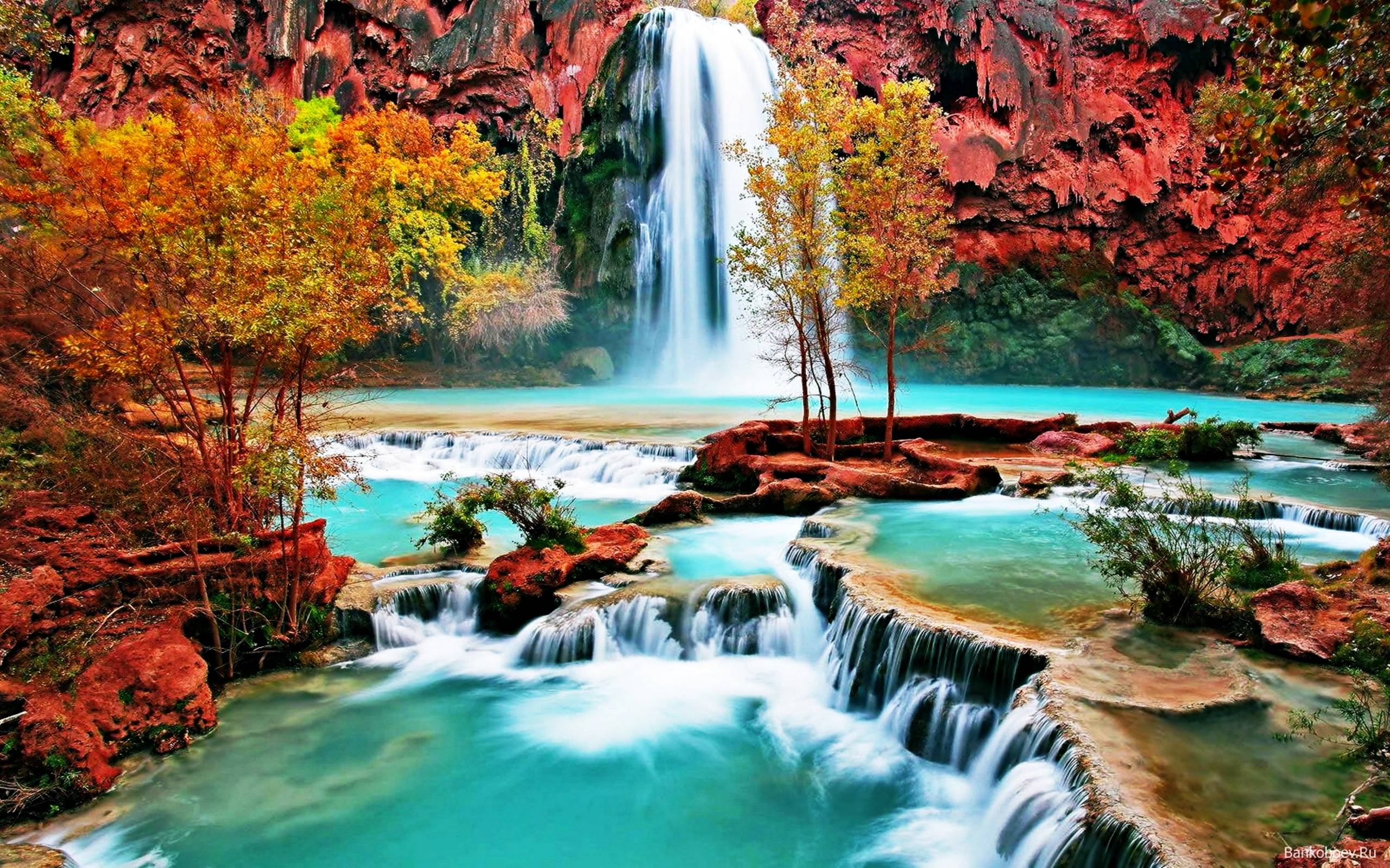 صور طبيعية صور طبيعية