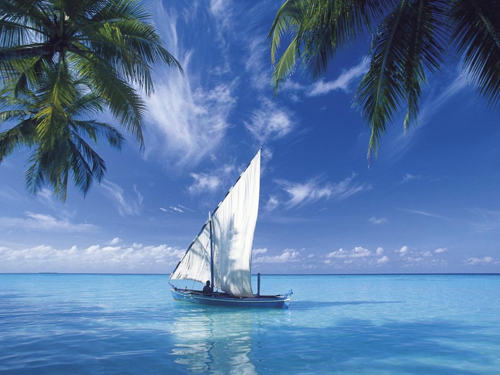 صور طبيعية صور طبيعية