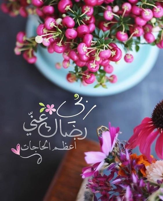صور ورد جميلة بعبارات صور ورد جميلة بعبارات