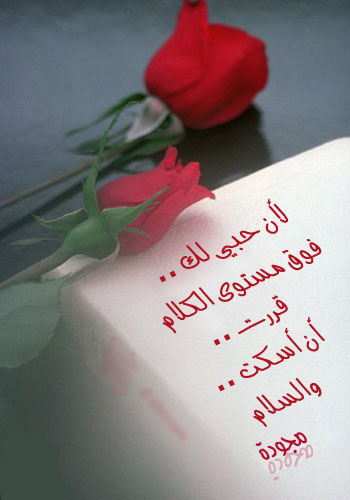 صور ورد جميلة بعبارات صور ورد جميلة بعبارات