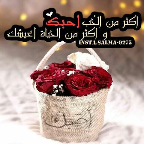 صور ورد جميلة بعبارات صور ورد جميلة بعبارات