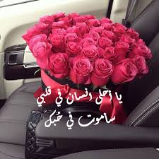 صور ورد جميلة بعبارات صور ورد جميلة بعبارات