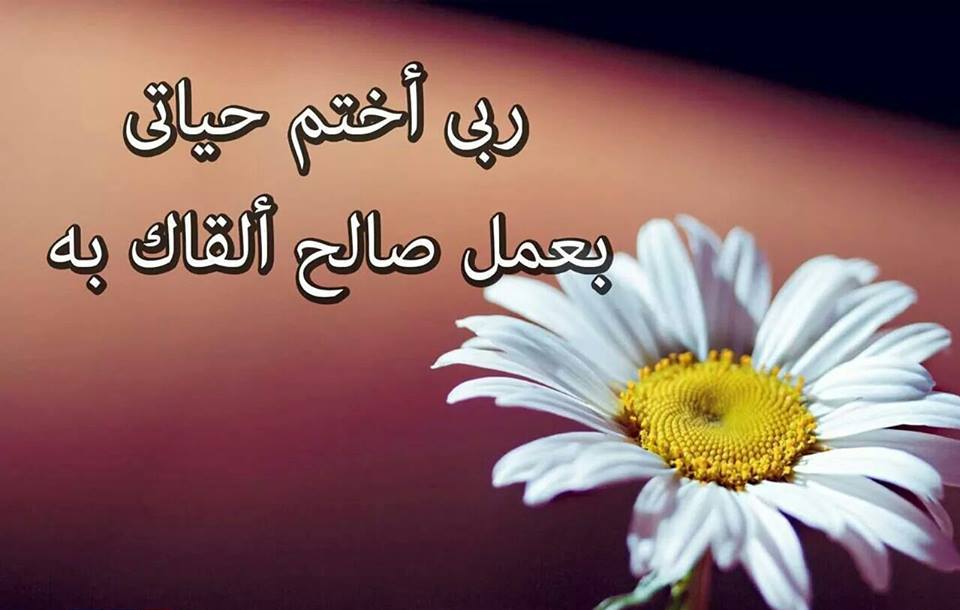 صورجميلة مكتوب عليها كلام جميل