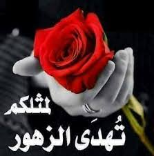 صورجميلة مكتوب عليها كلام جميل صورجميلة مكتوب عليها كلام جميل