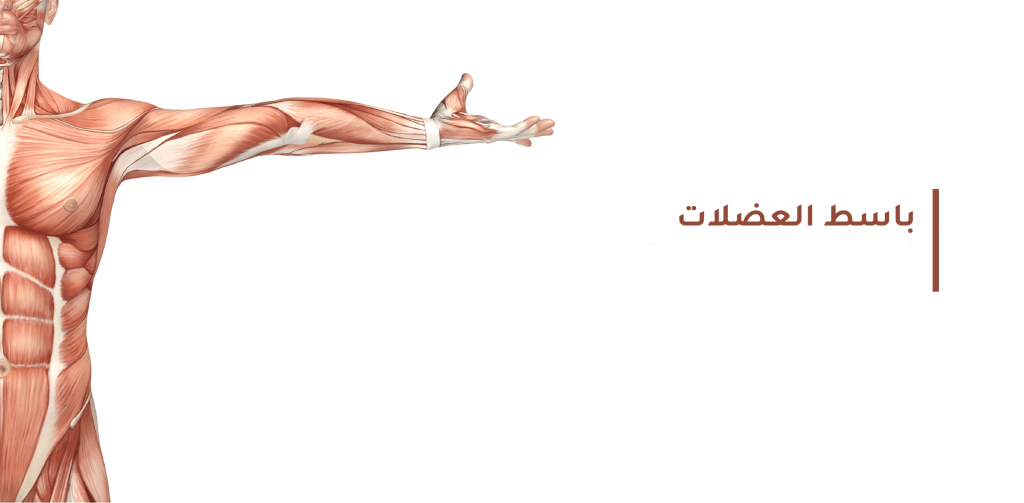 أفضل مرخي عضلات طبيعي