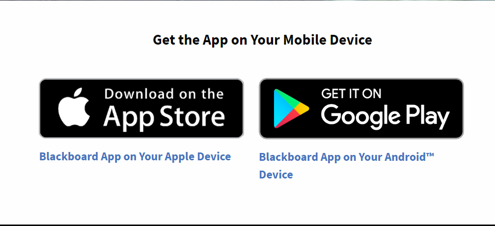 تحميل بلاك بورد