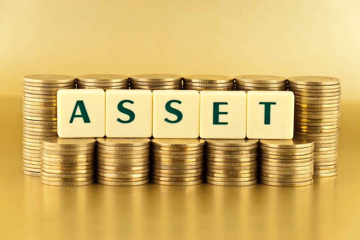 assets معنى
