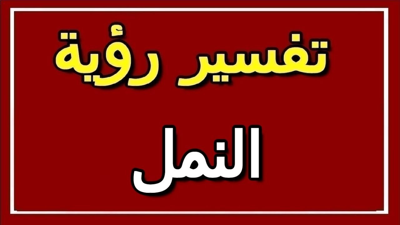 تفسير النمل في المنام على الجسم