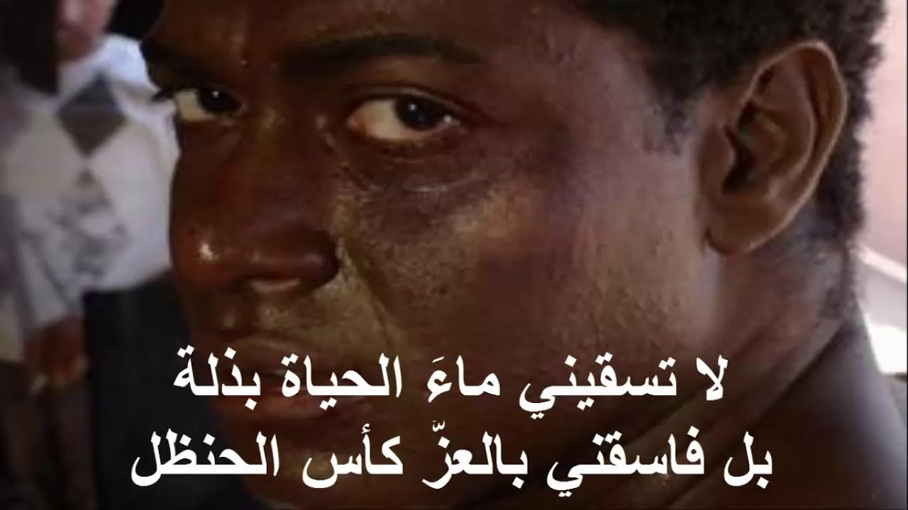 اشعار عن الفخر