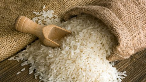 بحث عن فوائد الأرز واضراره