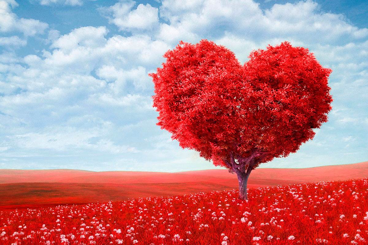 ما هو الحب فى الله