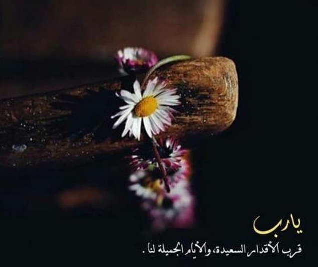 خلفيات واتساب جميله 2020 خلفيات واتساب جميله 2020