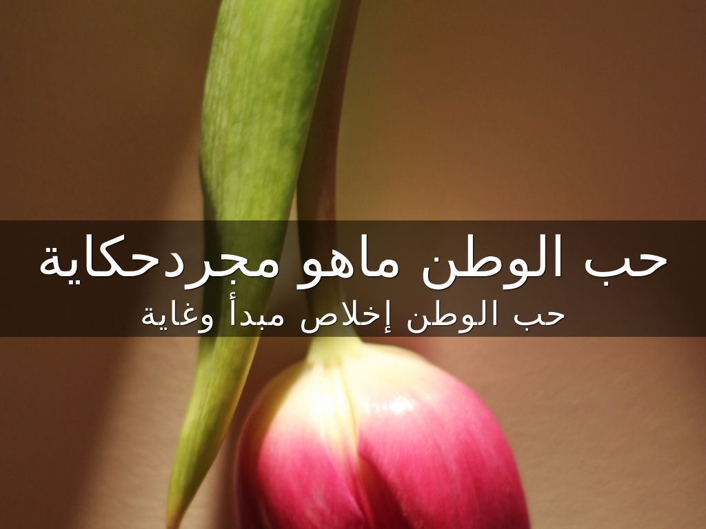 رسالة عن حب الوطن قصيرة مكتوبة