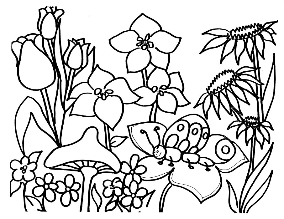 رسومات تلوين للاطفال رسومات تلوين للاطفال