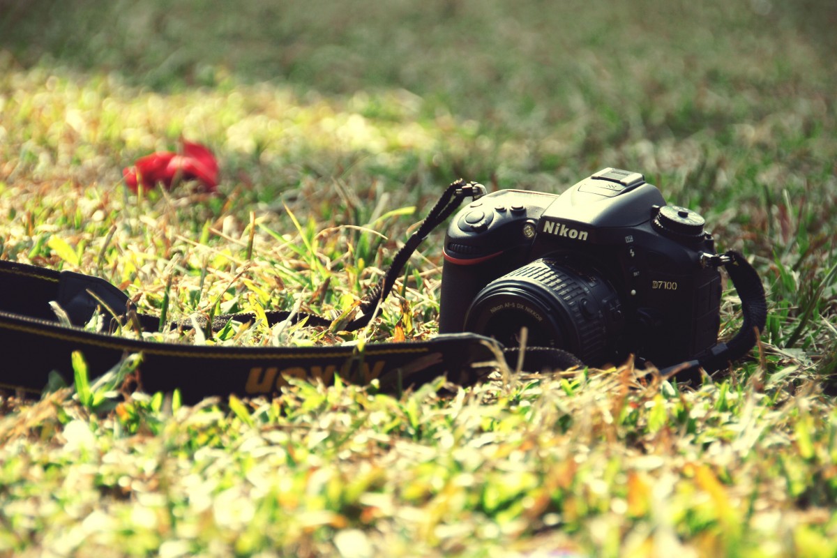 صور 2