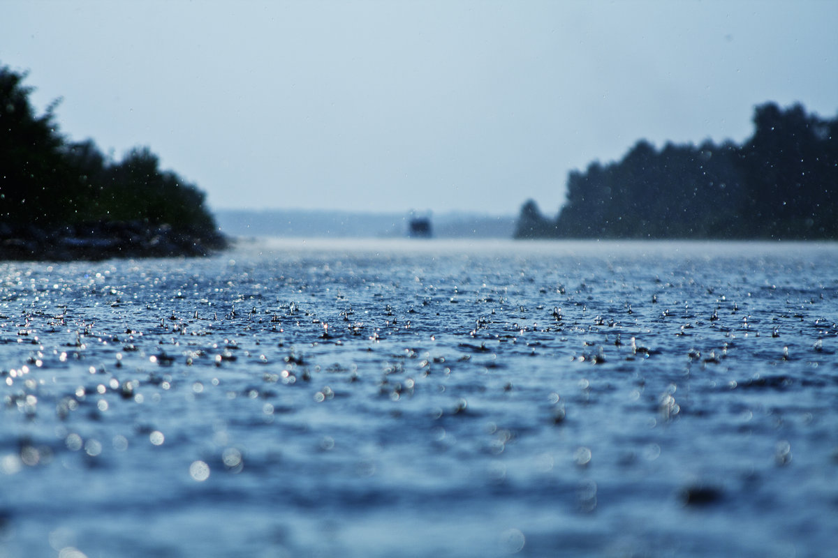 صور 6