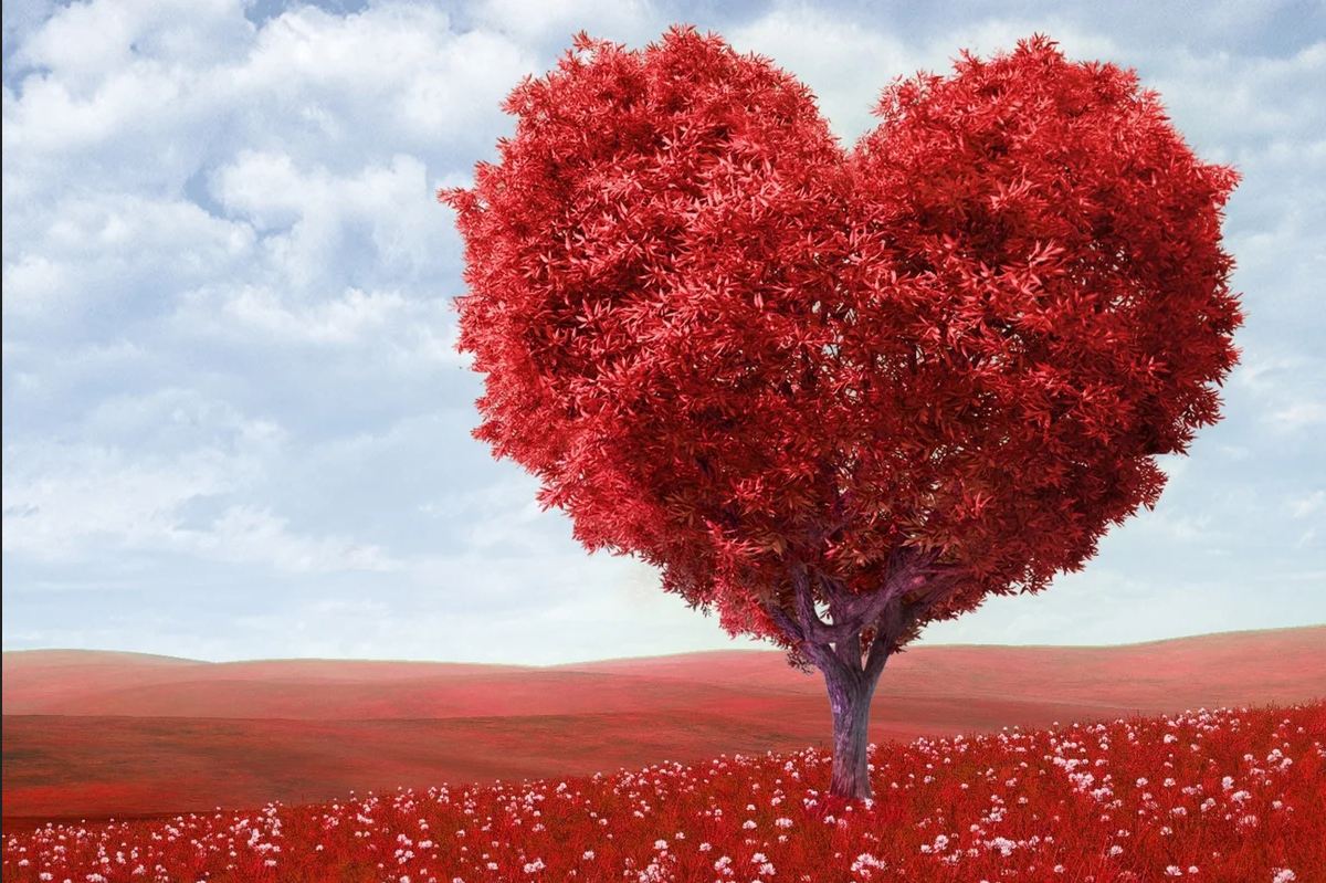 صور رومانسية صور رومانسية