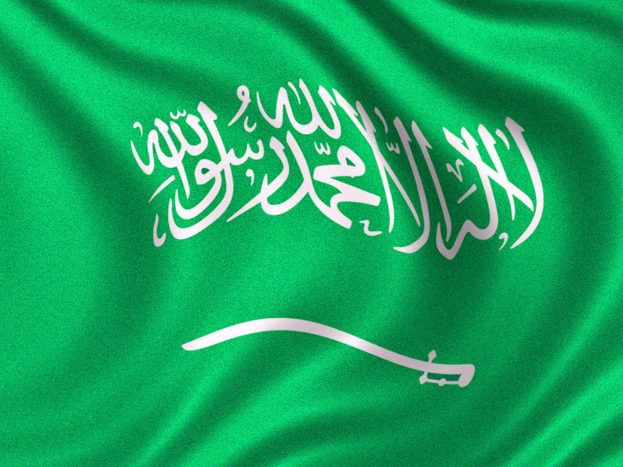 صور علم المملكة العربية السعودية صور علم المملكة العربية السعودية