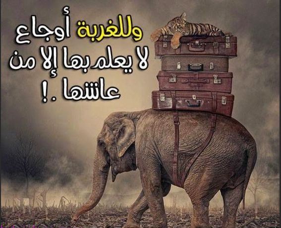 صور عن الغربه صور عن الغربه