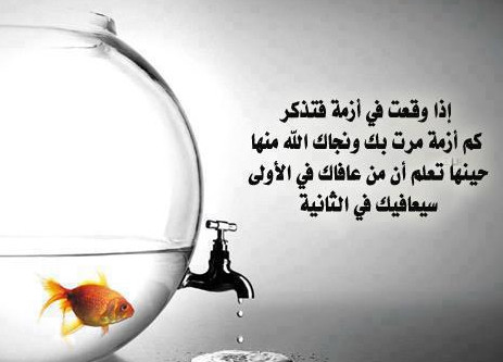 صور عن تطوير الذات صور عن تطوير الذات