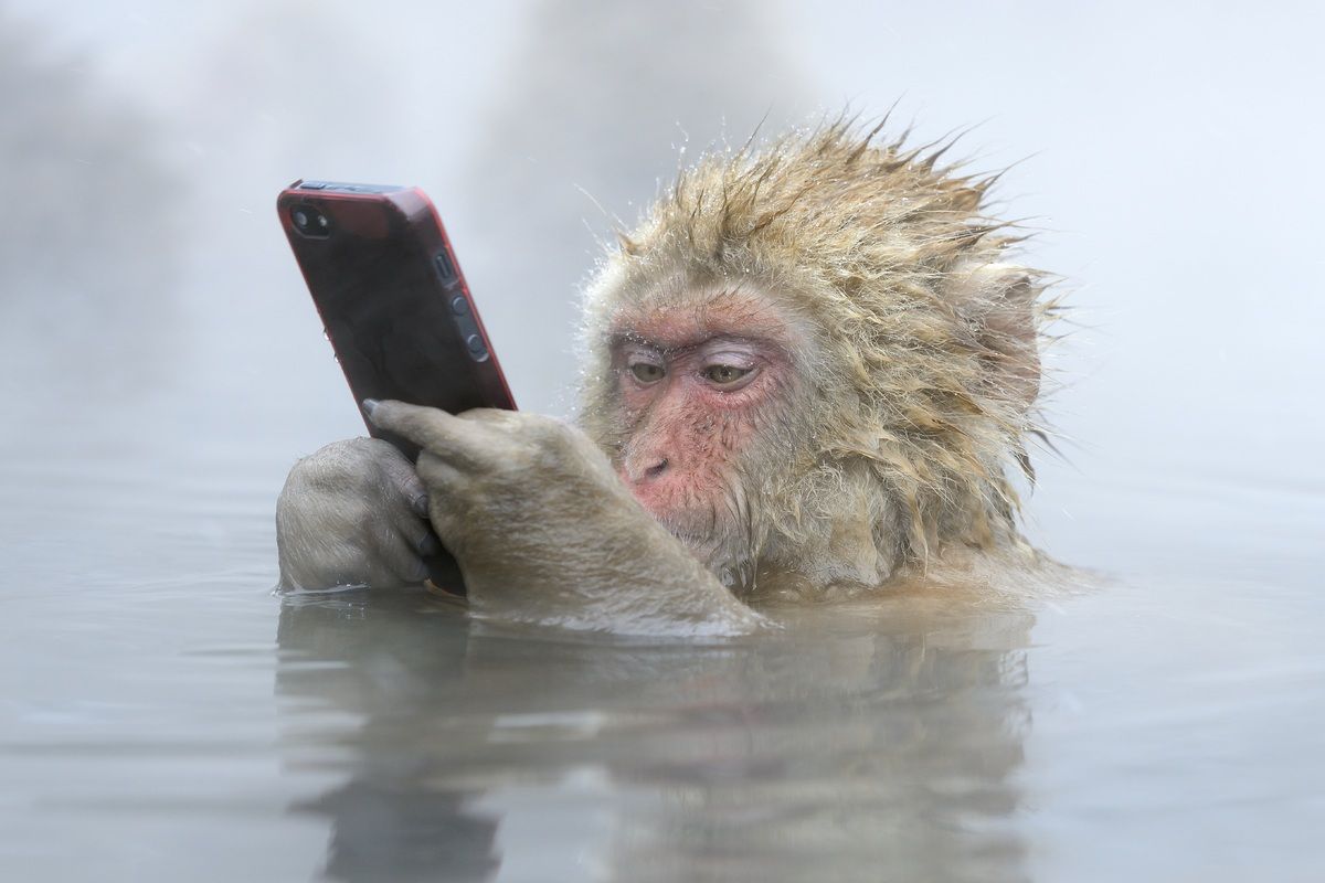 بوستات وصور مضحكه بوستات وصور مضحكه