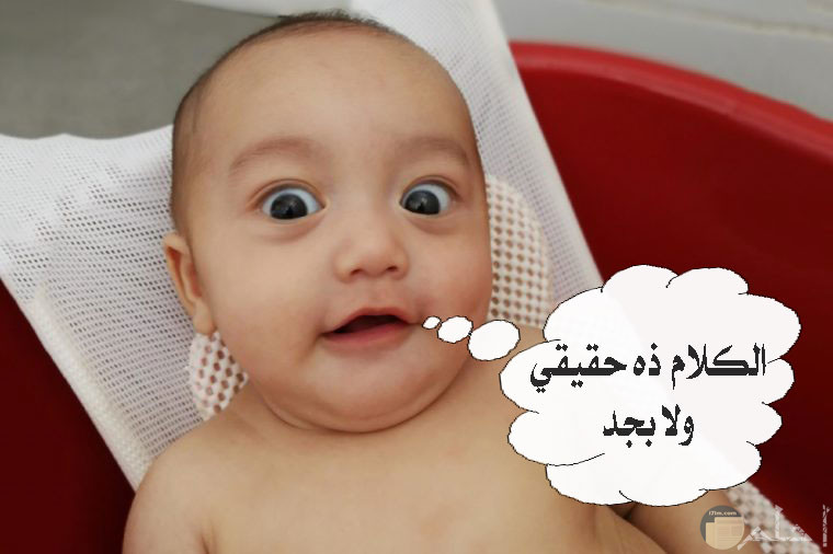 صور مضحكه صور مضحكه