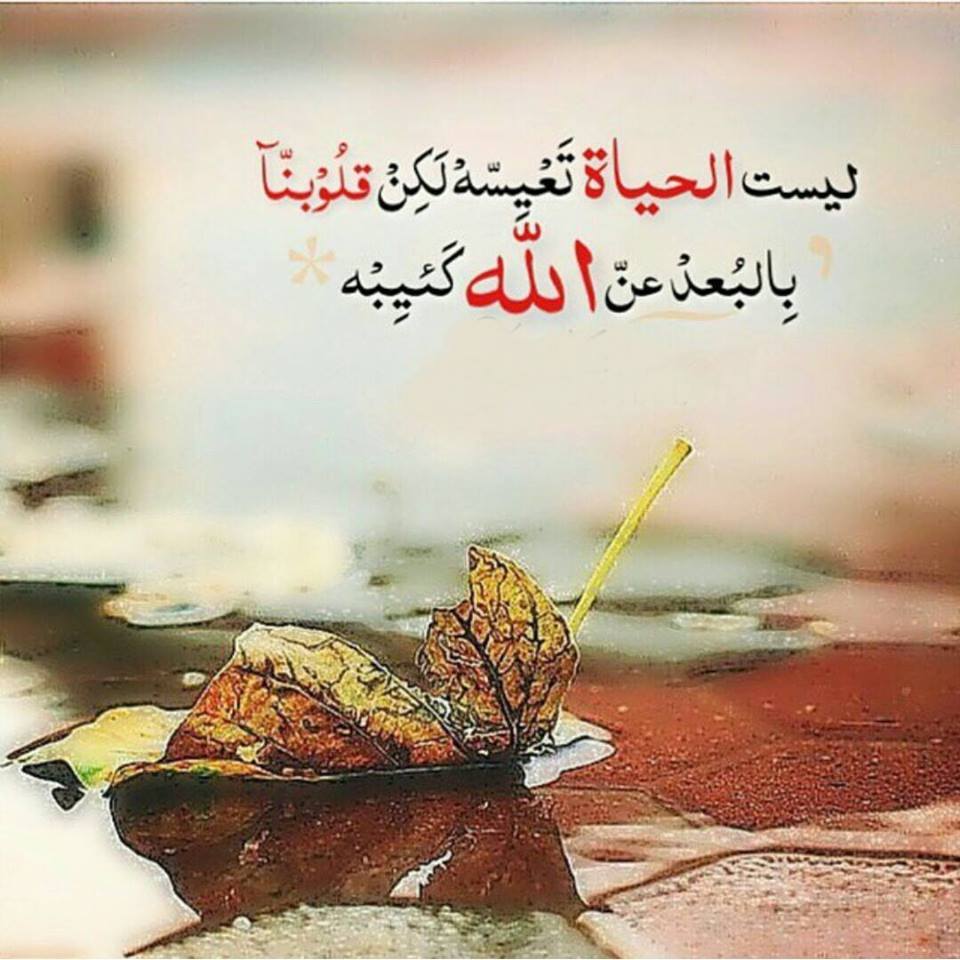 صور منوعة للفيس بوك صور منوعة للفيس بوك