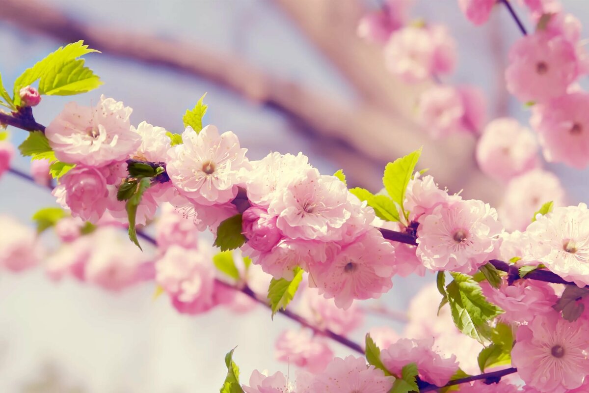 صورة 3