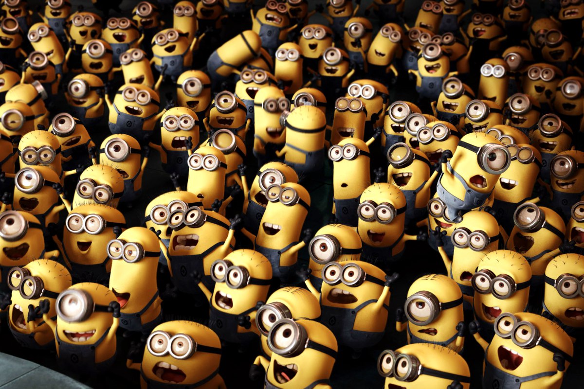 صورة 6