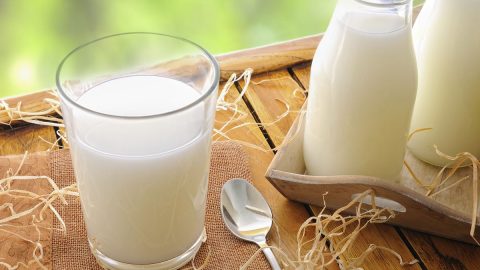 فوائد الحليب بالثوم للصحة والجسم