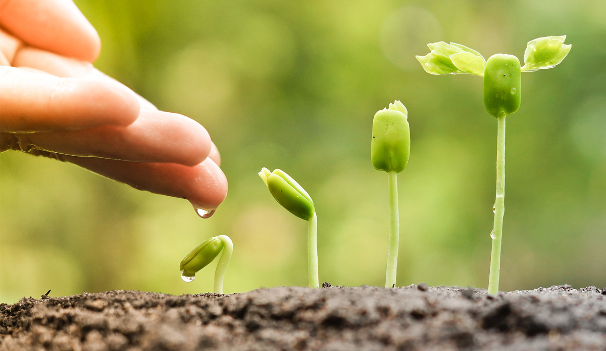 قصائد عن فضائل الأخلاق مكتوبة