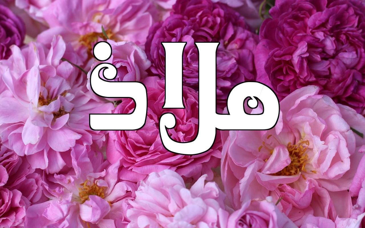 معنى ملاذ