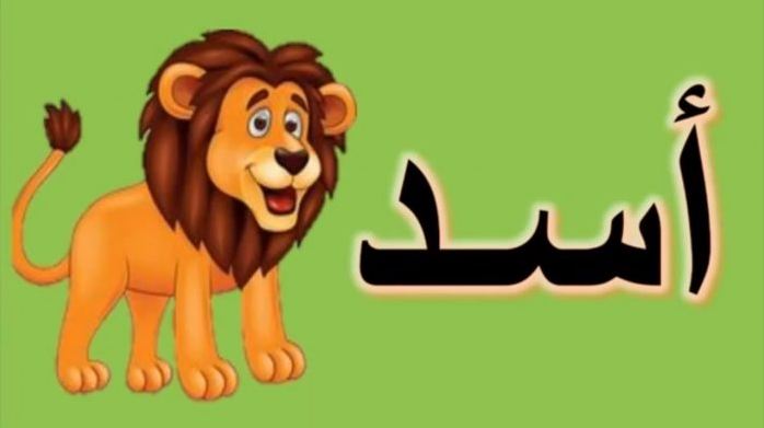 الأسد الأسد