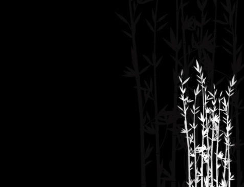 خلفيات سوداء للكمبيوتر خلفيات سوداء للكمبيوتر