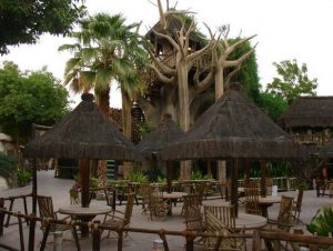 صور جنغل لاند صور جنغل لاند