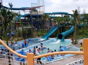 صور جنغل لاند صور جنغل لاند