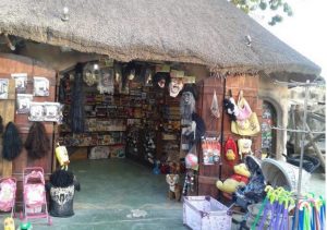 صور جنغل لاند صور جنغل لاند