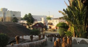 صور جنغل لاند صور جنغل لاند