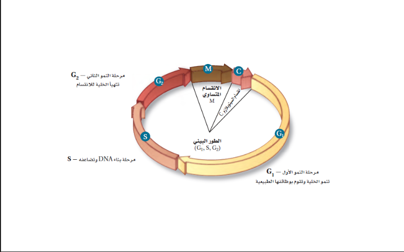 النمو الخلوي النمو الخلوي