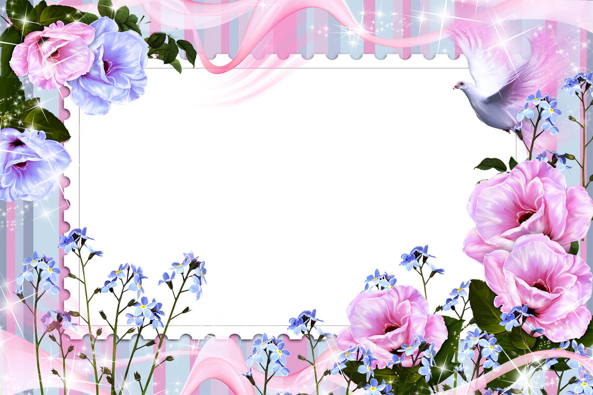 اروع إطار ورد