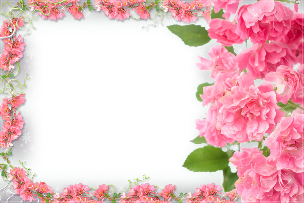 اطار ورد بنك