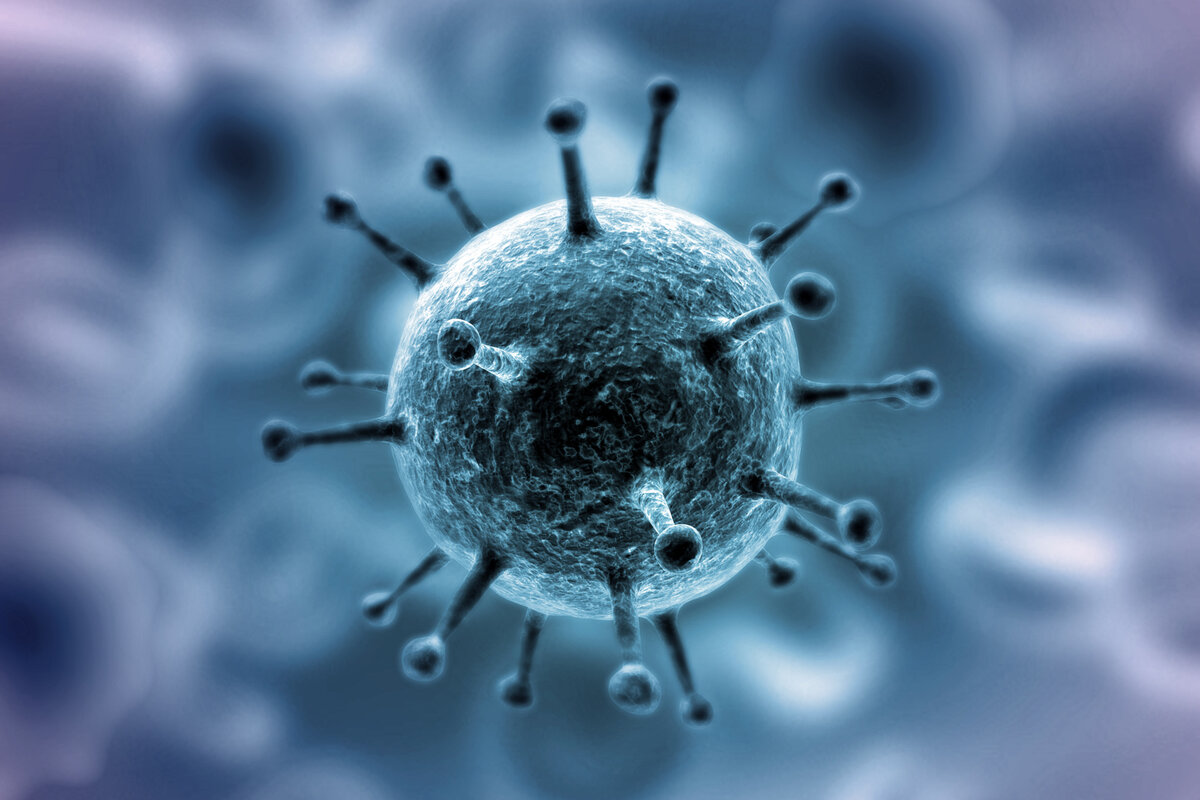 فيروس كورونا هل سيقتل الملايين