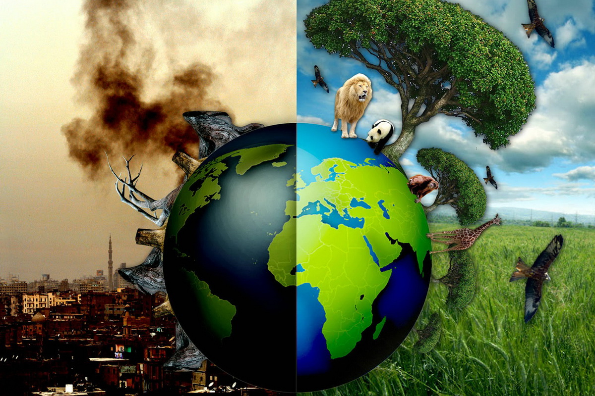 اثر الحروب في تدمير البيئه والانسان