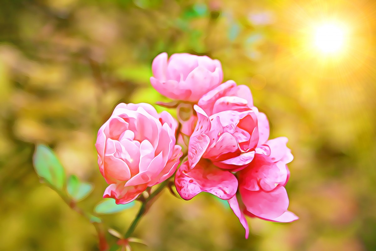 اجمل خواطر صباح الخير للاصدقاء