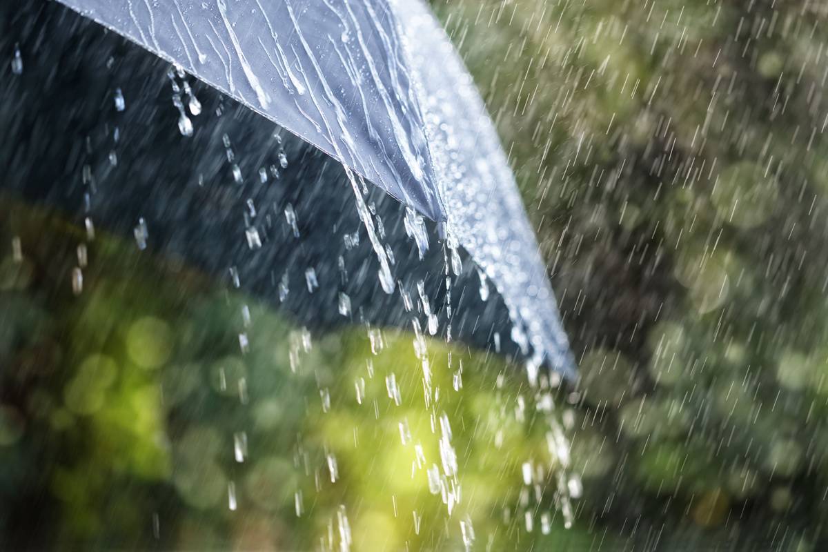 تفسير رؤية المطر في المنام بالتفصيل