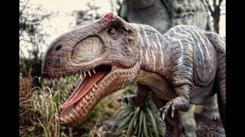 ما سبب انقراض الديناصورات الحقيقية