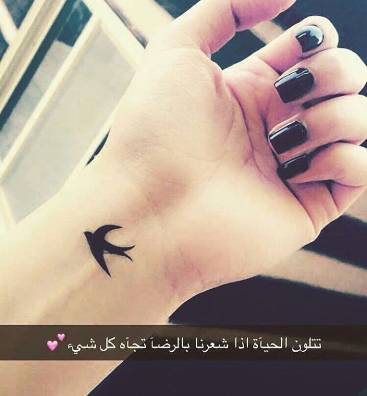 صور سنابات حلوة صور سنابات حلوة