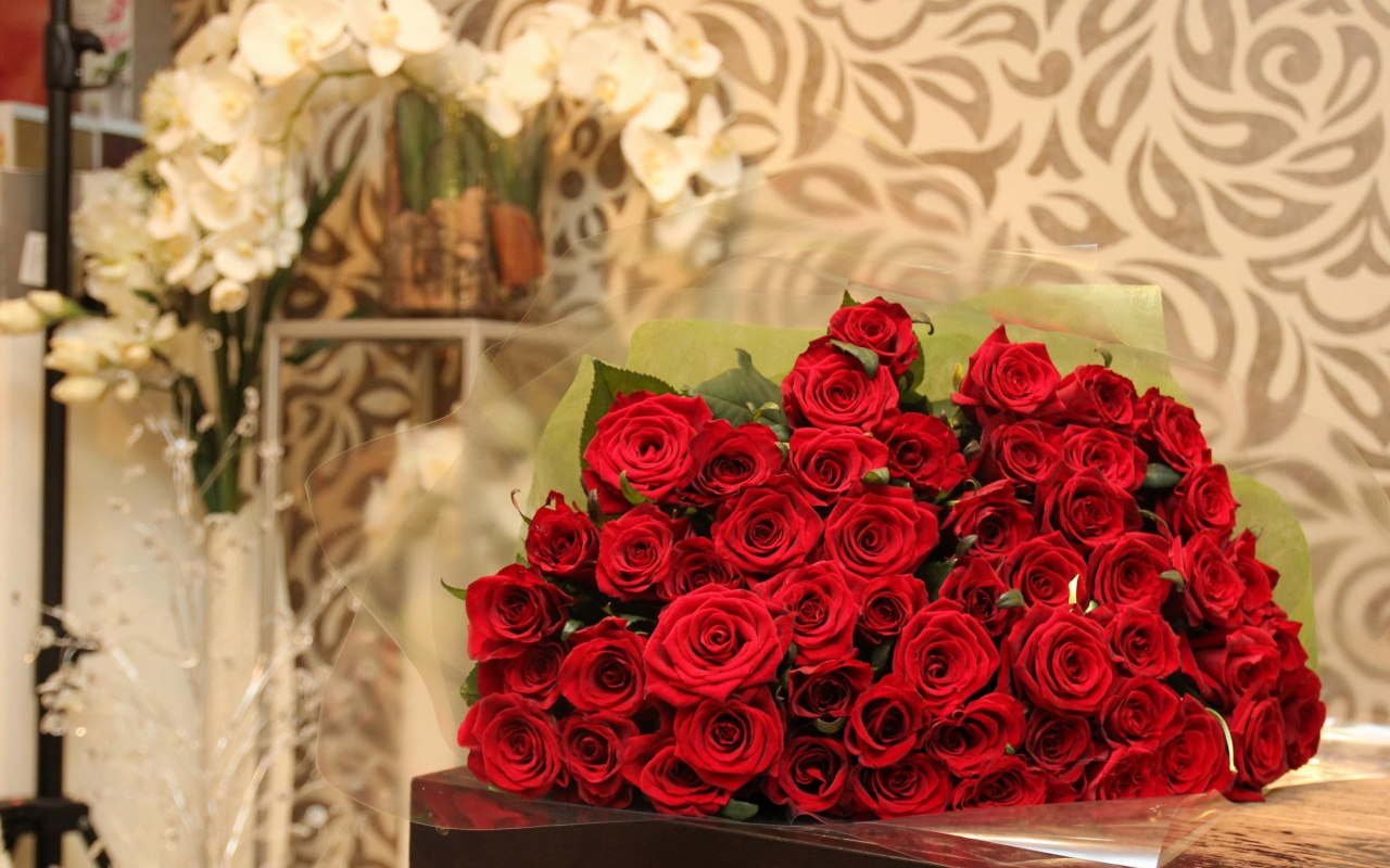 صور ورد احمر