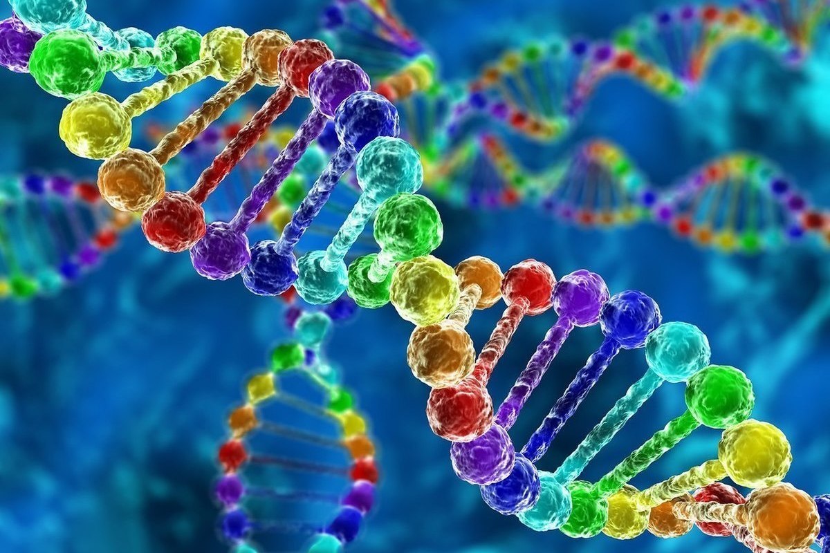 اكتب قائمة تبين فيها فوائد دراسة علم الاحياء