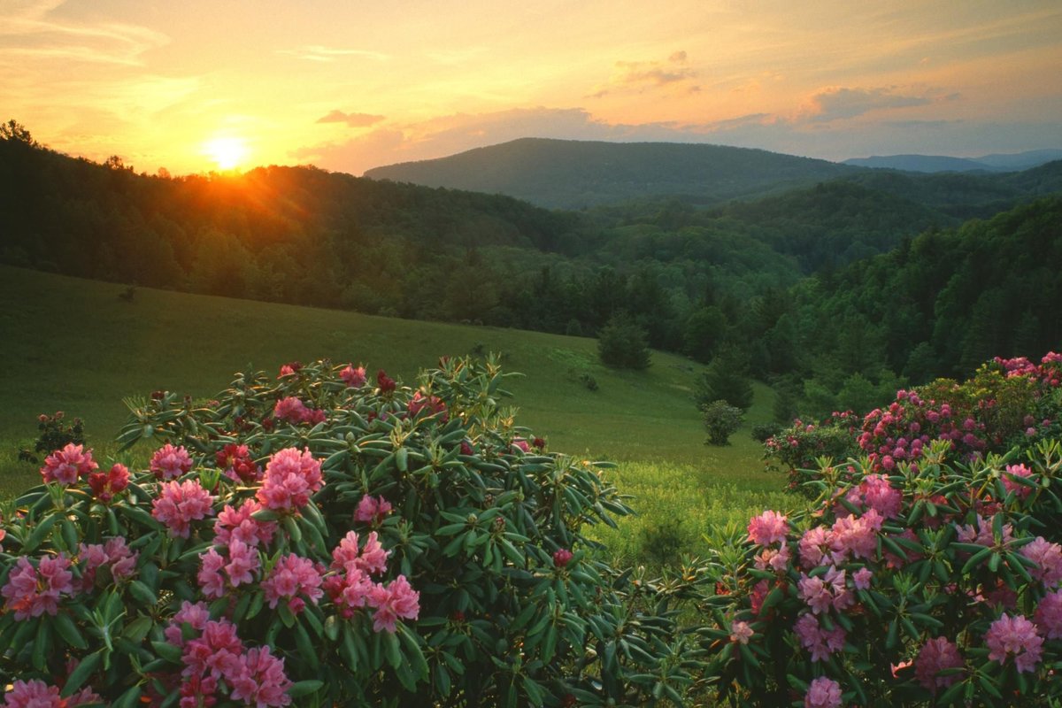 منظر طبيعي منظر طبيعي